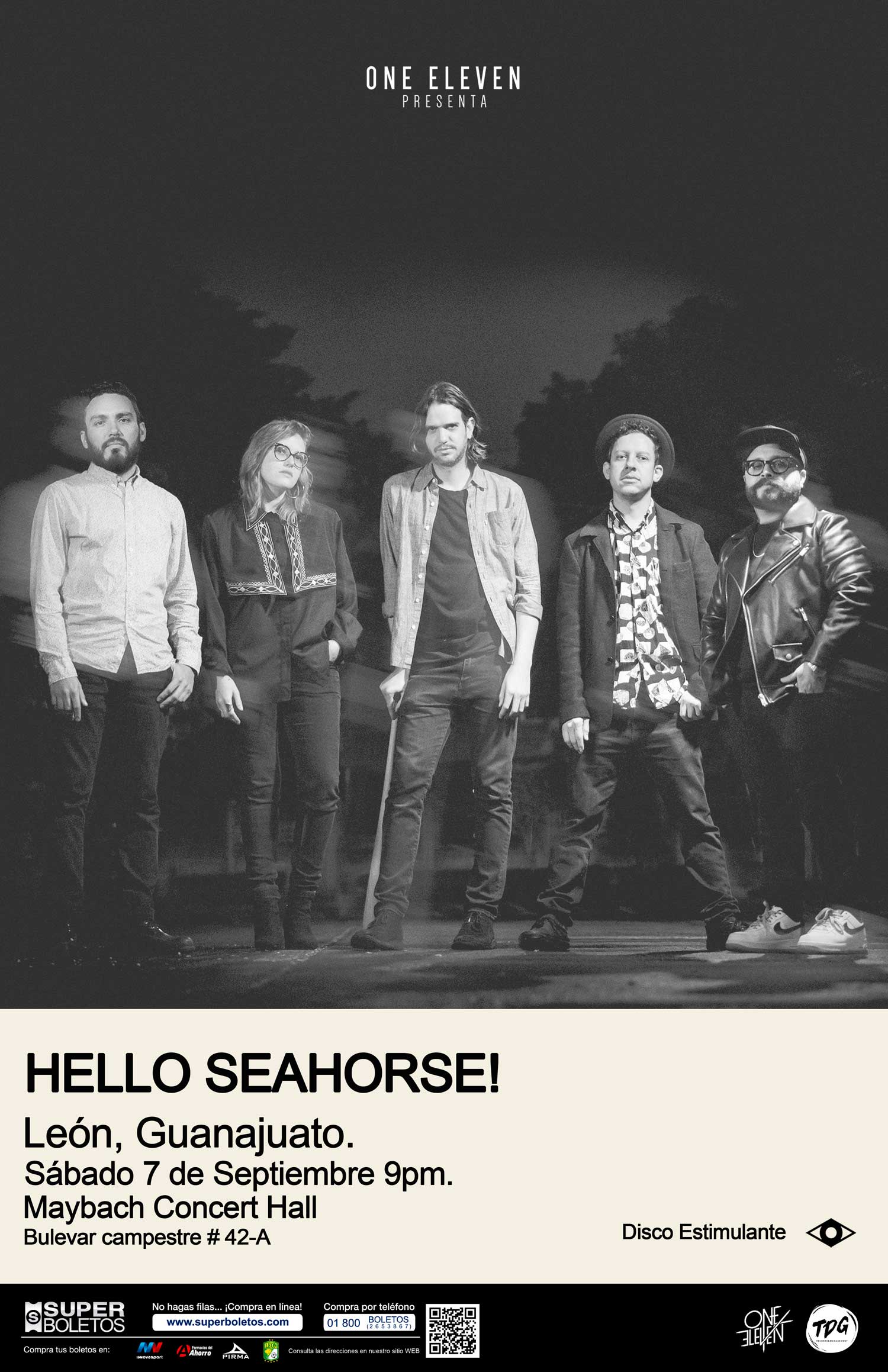 Hello Seahorse! | León Gto.